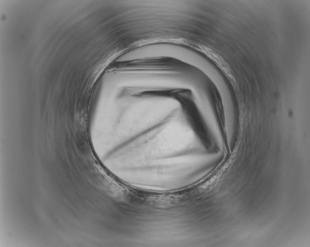 X0000070241185200606301553