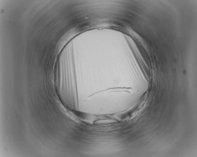 X0000070241194200606301553