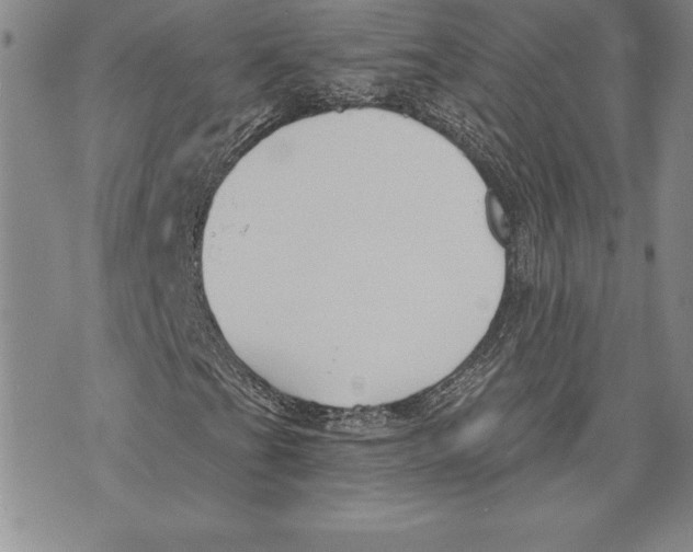 X0000070241201200606301552