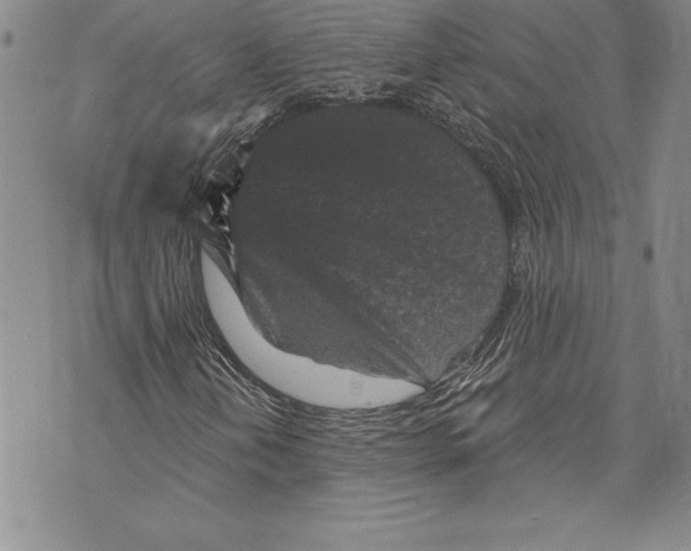 X0000070241202200606301552