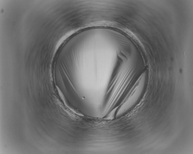 X0000070241230200606301553
