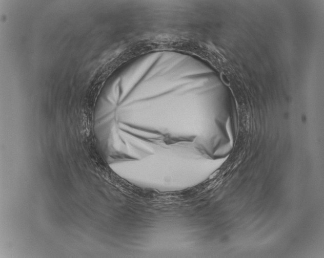 X0000070241253200606301552