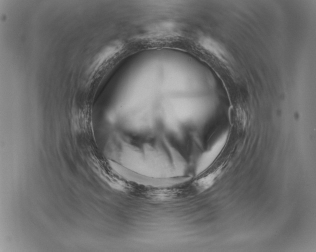 X0000070241300200606301551