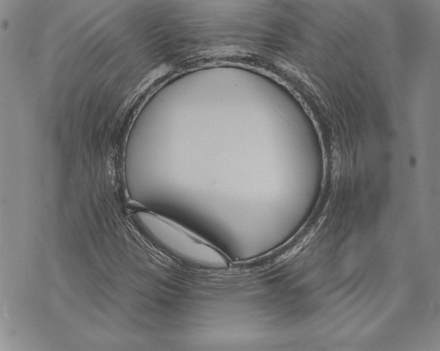 X0000070241305200606301551