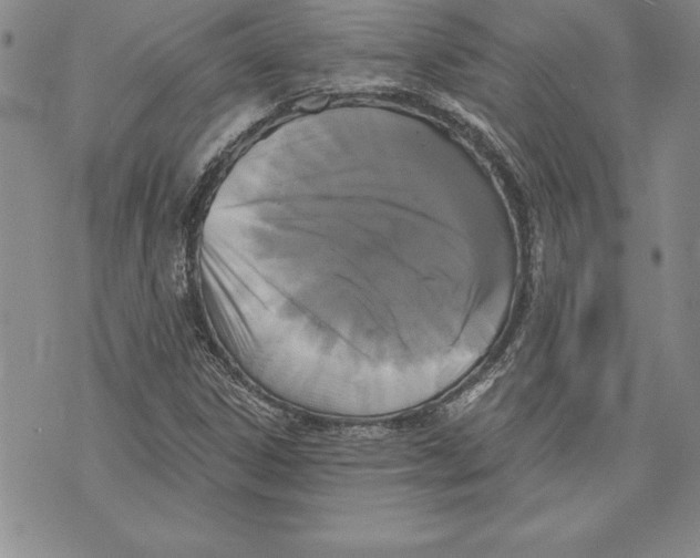 X0000070241306200606301551