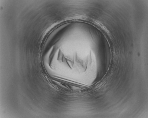 X0000070241316200606301551