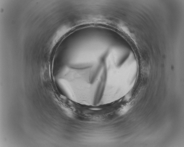 X0000070241320200606301551