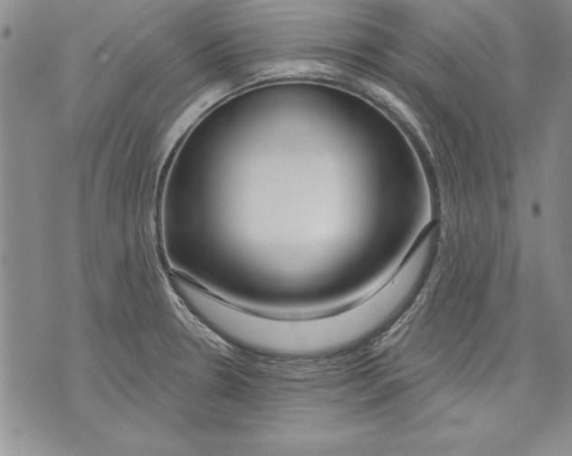 X0000070241330200606301551