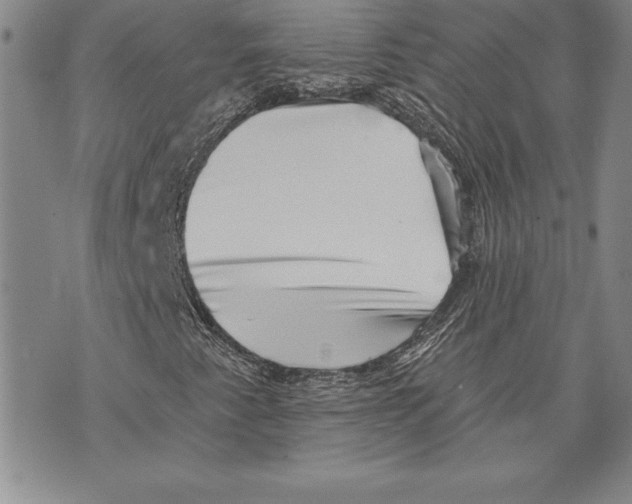X0000070241345200606301551