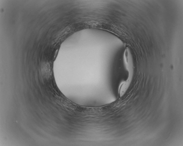 X0000070241347200606301551