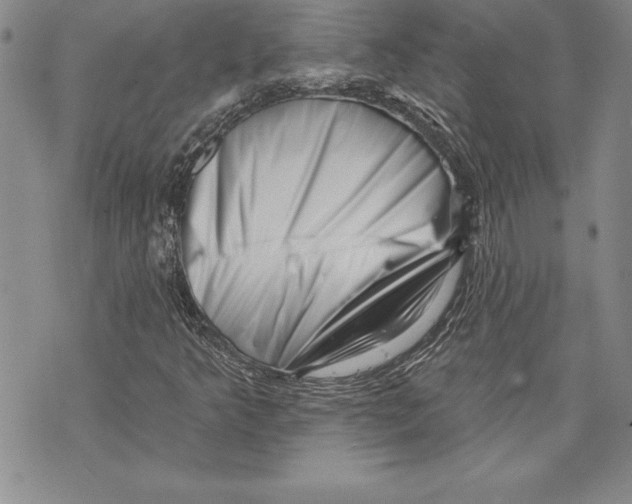 X0000070241349200606301550