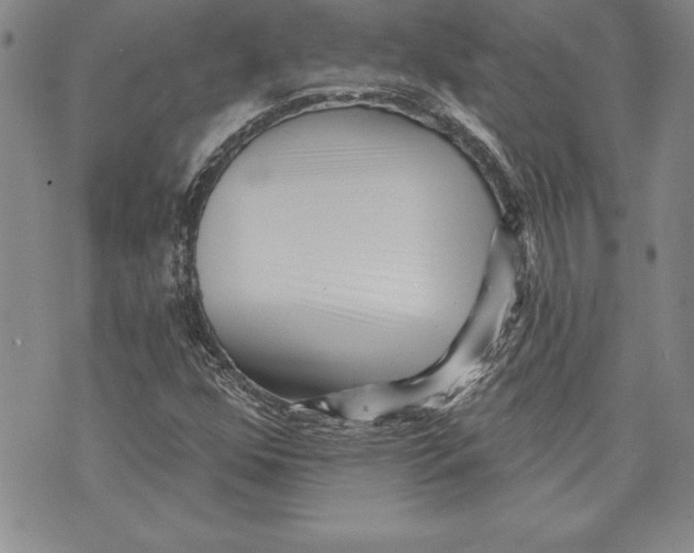 X0000070241352200606301550