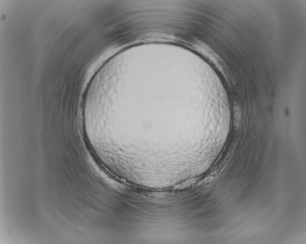 X0000070241379200606301550