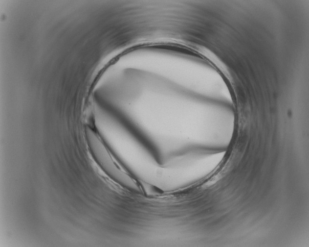 X0000070241388200606301550