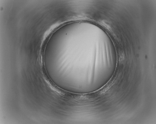 X0000070241414200606301549