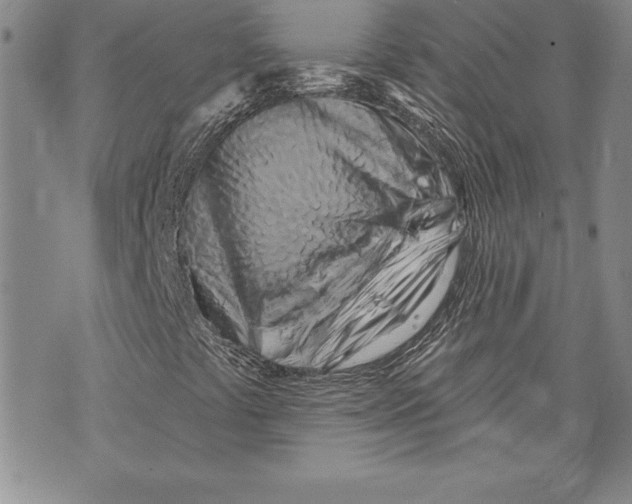X0000070241441200606301549