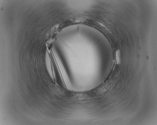 X0000070241443200606301549