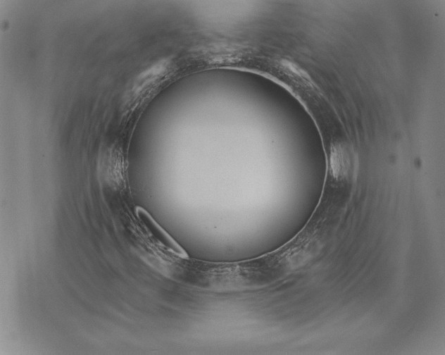 X0000070241444200606301549