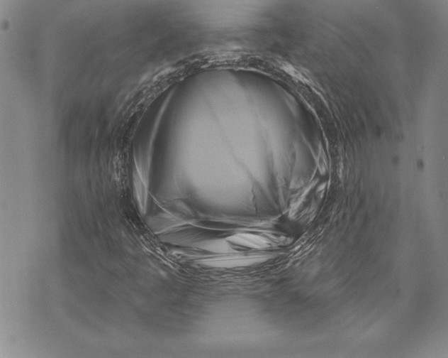 X0000070241445200606301549