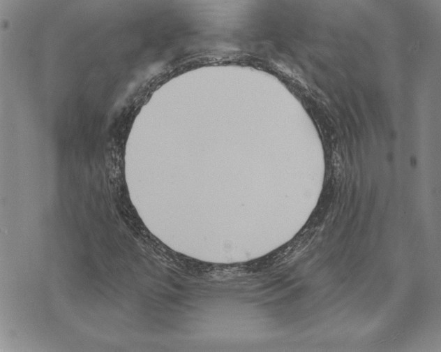X0000070241447200606301549
