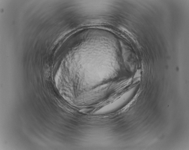 X0000070241449200606301549