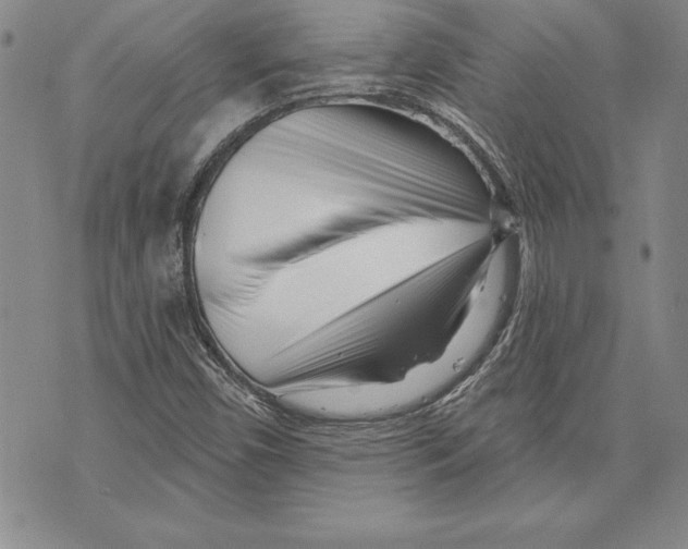 X0000070241450200606301549