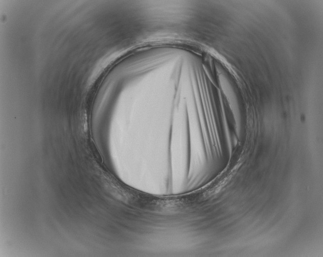 X0000070241461200606301549