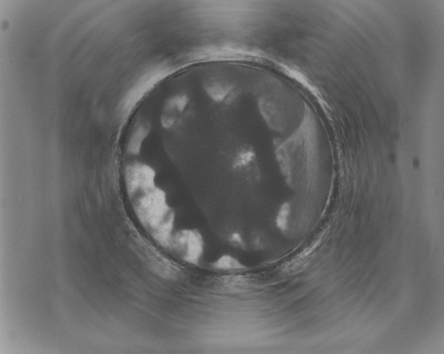 X0000070241463200606301549