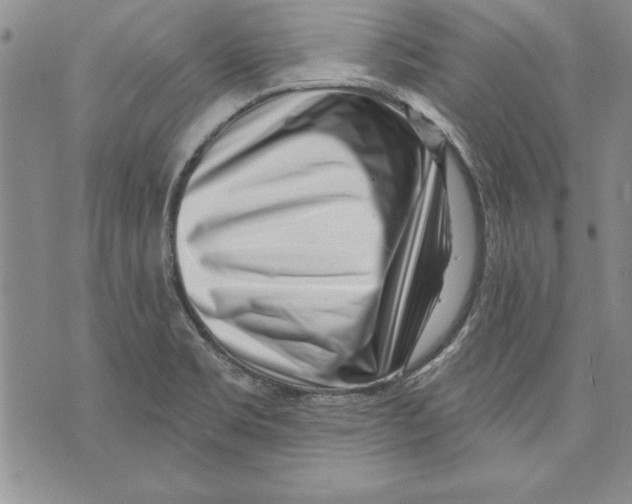 X0000070241469200606301549