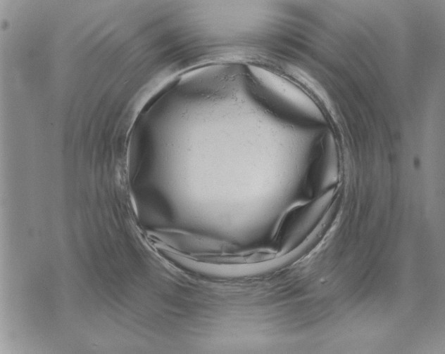 X0000070241481200606301548