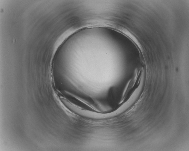 X0000070241485200606301548