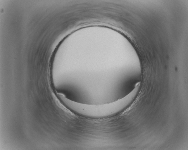 X0000070241518200606301548
