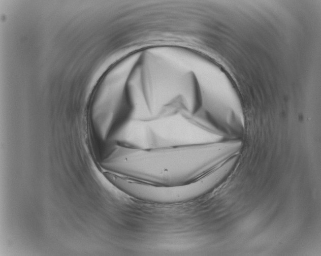 X0000070241531200606301548