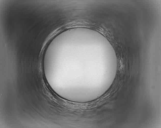 X0000070250004200606021010
