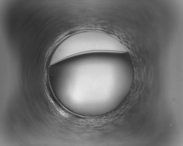 X0000070250005200606021010