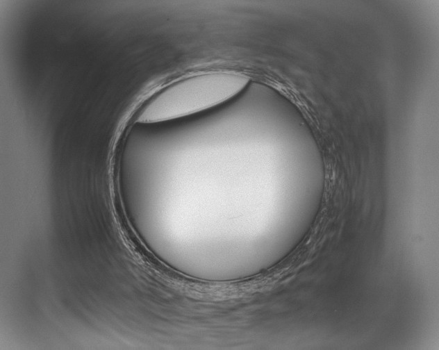 X0000070250006200606021010