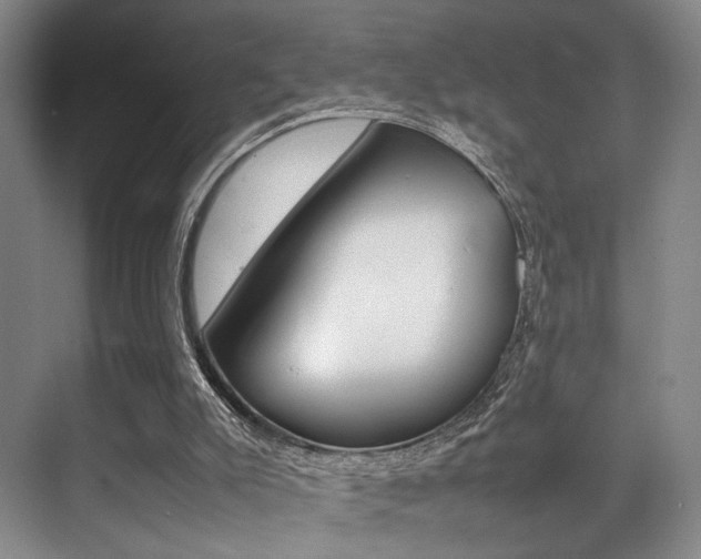 X0000070250007200606021010