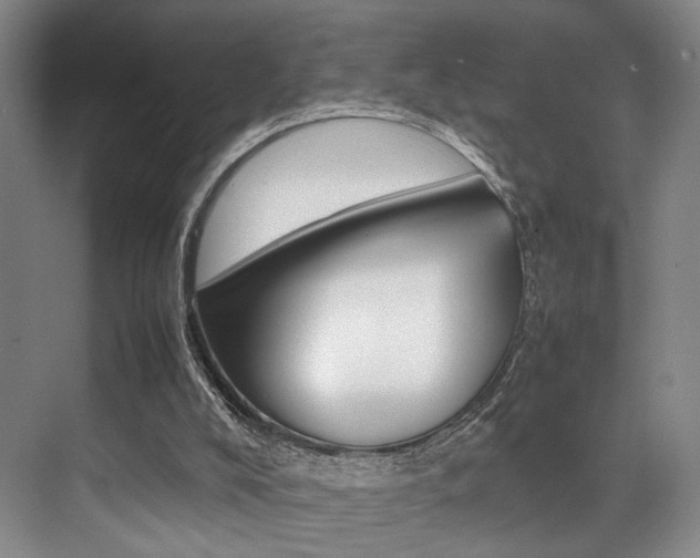 X0000070250008200606021010