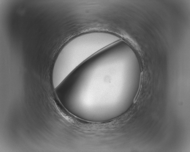 X0000070250009200606021010