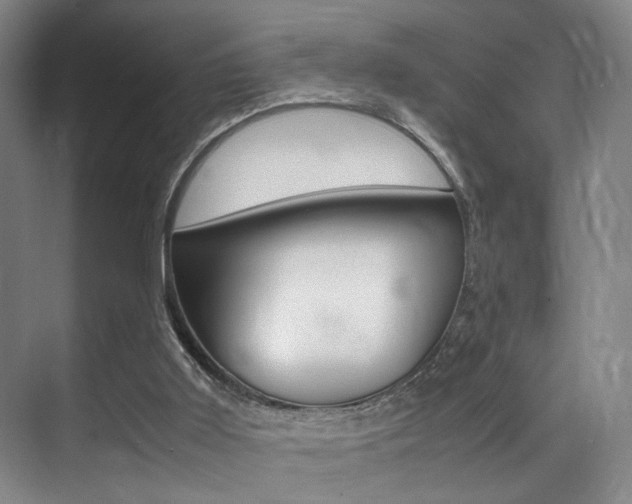 X0000070250011200606021010