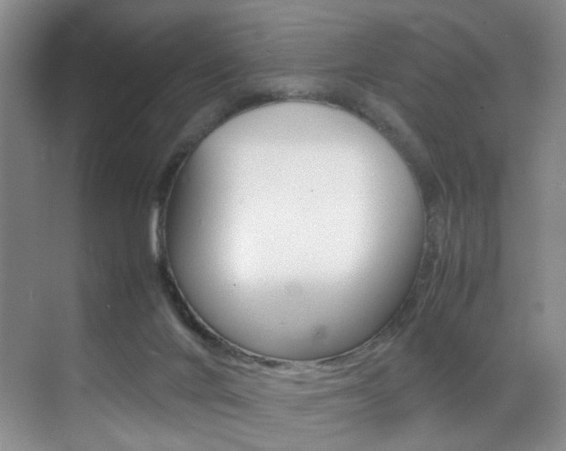 X0000070250024200606021010