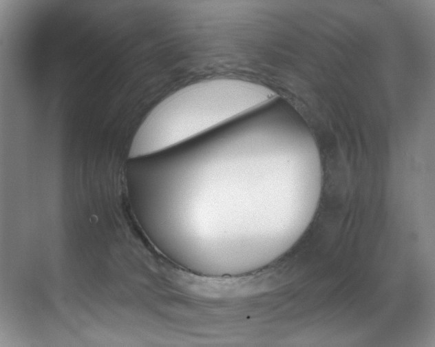 X0000070250034200606021010