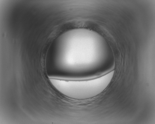 X0000070250035200606021010