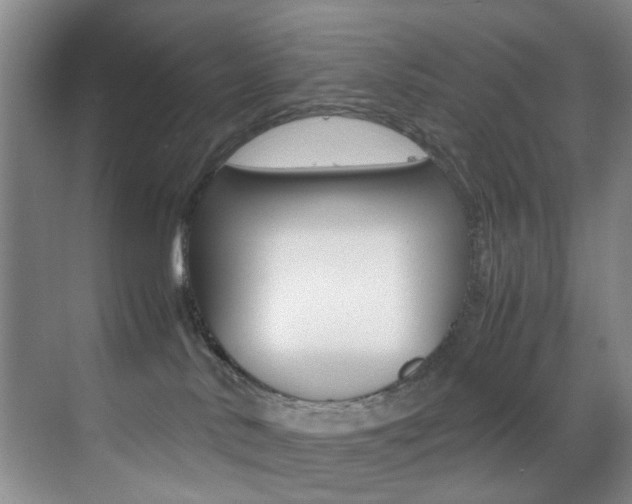 X0000070250042200606021010
