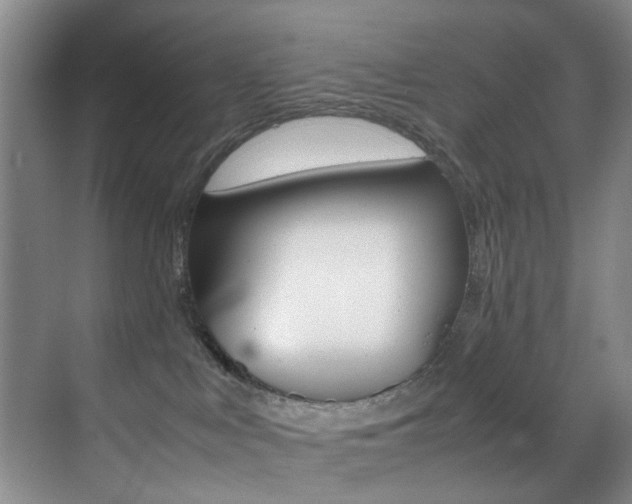 X0000070250043200606021010