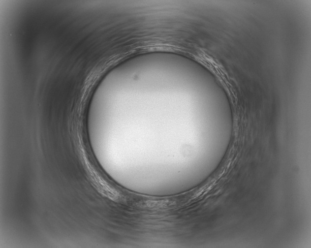 X0000070250049200606021009