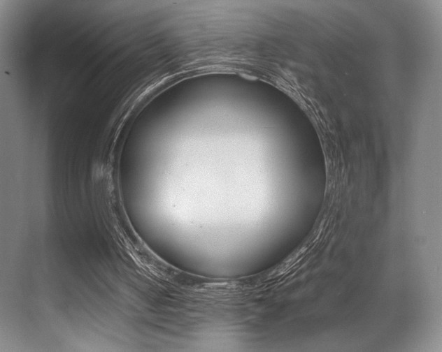 X0000070250050200606021009