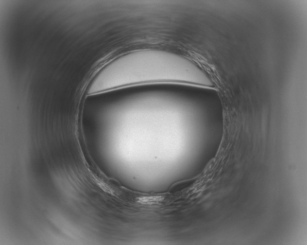 X0000070250051200606021009