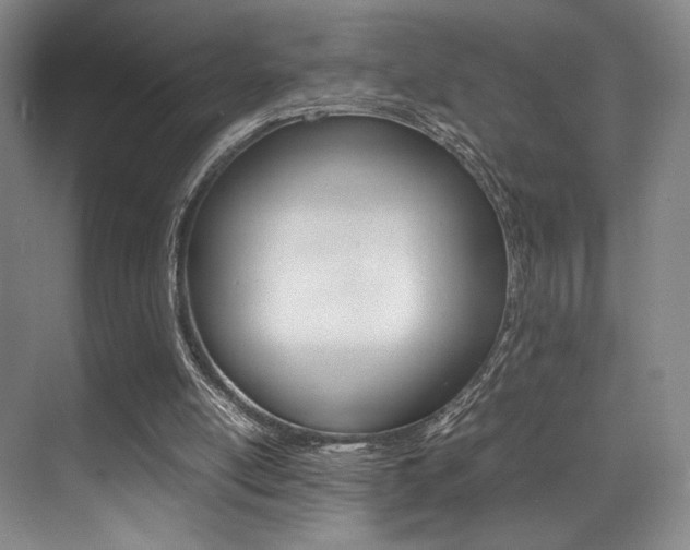 X0000070250054200606021009