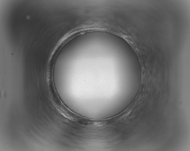 X0000070250056200606021009